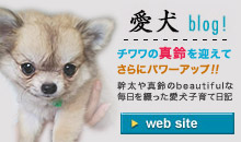 �����`�����̃u���O